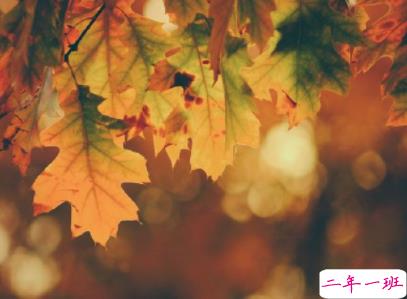 15条抖音最火经典说说带图片 说给女生听的话很经典2