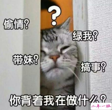 七夕情人节发什么说说搞笑 2018七夕发朋友圈搞笑说说段子加配图9