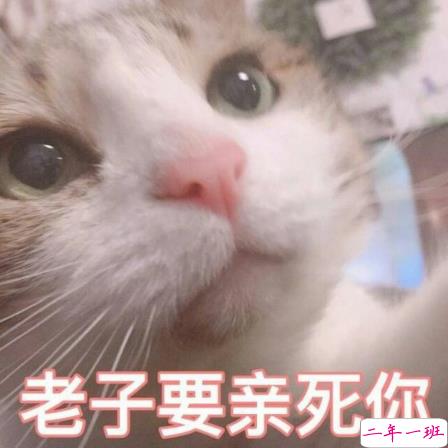 七夕情人节发什么说说搞笑 2018七夕发朋友圈搞笑说说段子加配图12