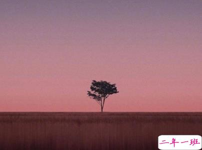 15条抖音最火经典说说带图片 说给女生听的话很经典15