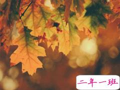 15条抖音最火经典说说带图片 说给女生听的话很经典