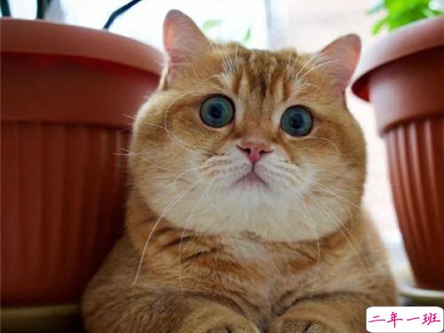 可以戳中中你笑点的搞笑说说带图片2