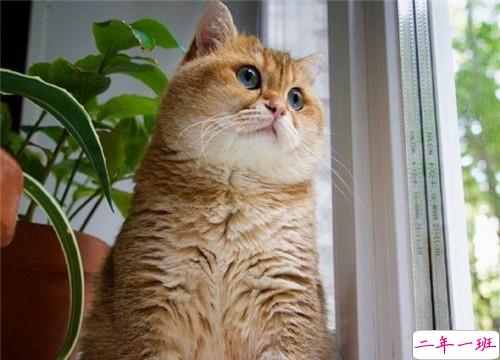 可以戳中中你笑点的搞笑说说带图片3