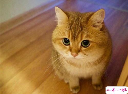 可以戳中中你笑点的搞笑说说带图片4