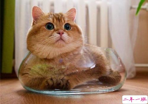 可以戳中中你笑点的搞笑说说带图片5