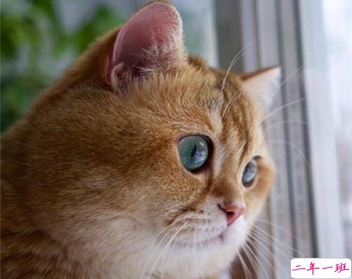 可以戳中中你笑点的搞笑说说带图片6