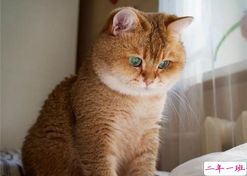 可以戳中中你笑点的搞笑说说带图片7