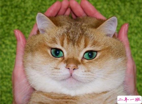 可以戳中中你笑点的搞笑说说带图片8