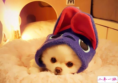 可以戳中中你笑点的搞笑说说带图片9