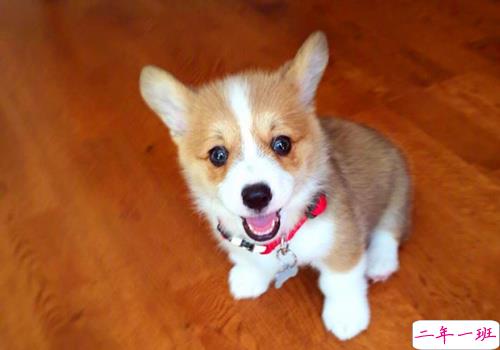 可以戳中中你笑点的搞笑说说带图片10