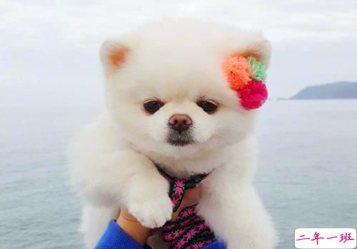 可以戳中中你笑点的搞笑说说带图片11