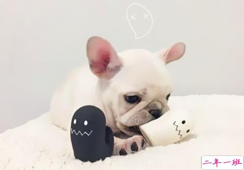 可以戳中中你笑点的搞笑说说带图片12