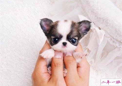 可以戳中中你笑点的搞笑说说带图片14