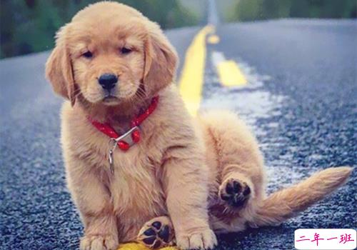 可以戳中中你笑点的搞笑说说带图片15