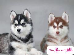 一瞬间戳中你笑点的搞笑说说带图片