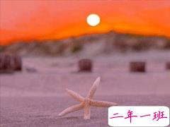 朋友圈治愈系暖心说说带图片 简短经典温暖句子精选