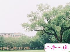 大学生必看的搞笑暖心情话说说带图片 不同系的学霸怎么表白