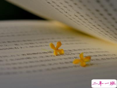 十分经典情感语录带图片 简约文艺风爱情说说1