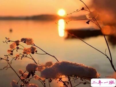 十分经典情感语录带图片 简约文艺风爱情说说4