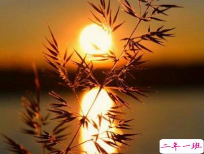 十分经典情感语录带图片 简约文艺风爱情说说6