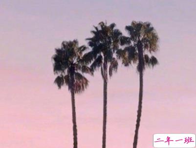 十分经典情感语录带图片 简约文艺风爱情说说7