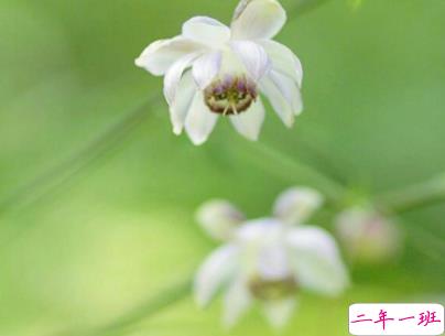 十分经典情感语录带图片 简约文艺风爱情说说10