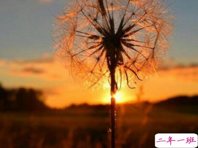 十分经典情感语录带图片 简约文艺风爱情说说12