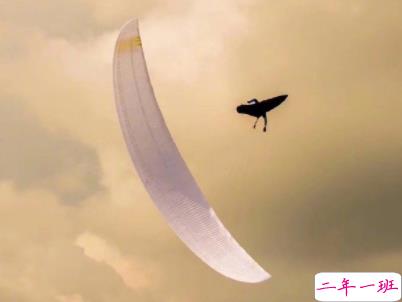 十分经典情感语录带图片 简约文艺风爱情说说13