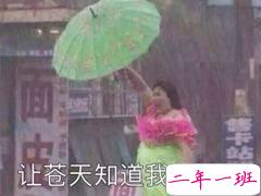 雨好大啊,像杉菜离开道明寺那天那么大 