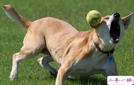笑死人的说说带图片带文字 逛街时的你和你的朋友14