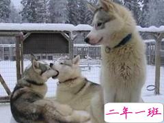 很有内涵的搞笑说说图片最新版 有意思的内涵段子说说