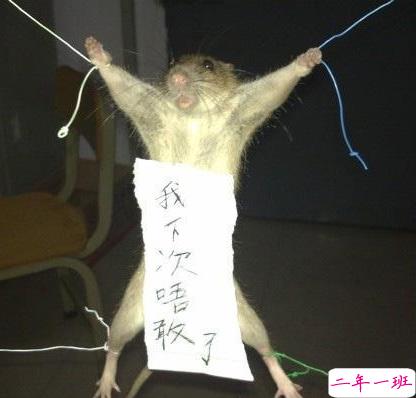 笑死人的说说带图片带文字 逛街时的你和你的朋友16