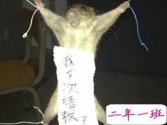 笑死人的说说带图片带文字 逛街时的你和你的朋友