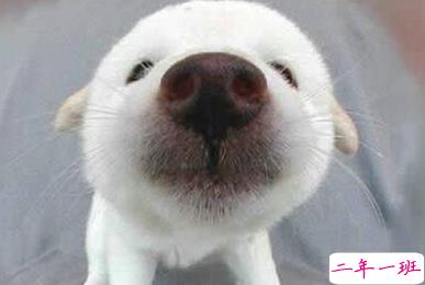 笑死人的搞笑说说超好玩：你以为有钱真的会快乐吗1