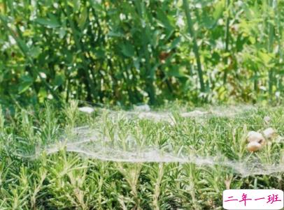 文艺经典语录带图片 适合女生的简单文艺风说说7