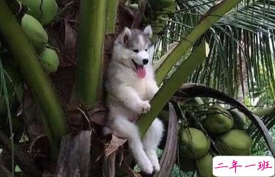 笑死人的搞笑说说超好玩：你以为有钱真的会快乐吗9