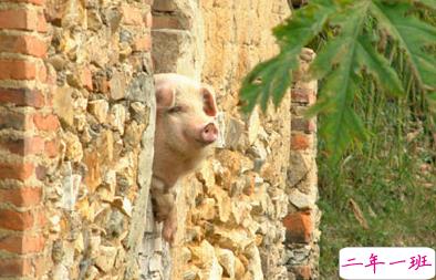 笑死人的搞笑说说超好玩：你以为有钱真的会快乐吗11