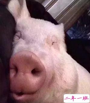 笑死人的搞笑说说超好玩：你以为有钱真的会快乐吗13