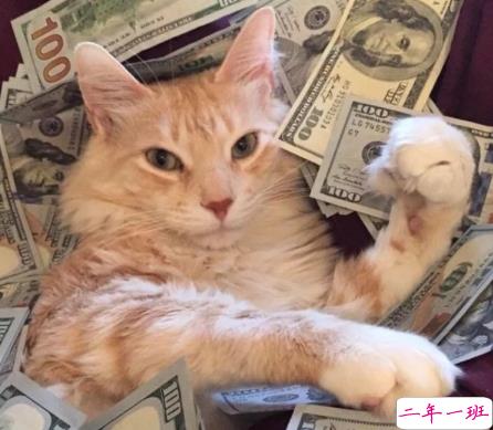 可爱说说配图2018女生专属 我生来就是宝贝，来到世间就是被宠的1