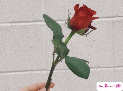 微信朋友圈经典说说带图片 吸引人点赞的经典短句1