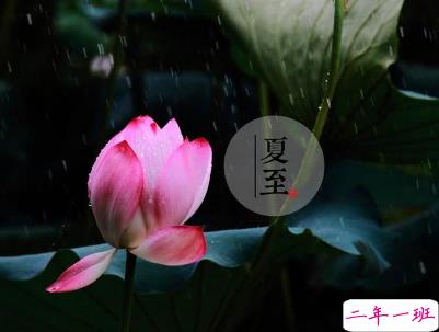 2019夏至说说短语带图片 夏至qq空间唯美说说大全1