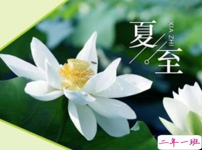 2019夏至说说短语带图片 夏至qq空间唯美说说大全3