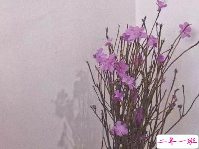 微信朋友圈经典说说带图片 吸引人点赞的经典短句4