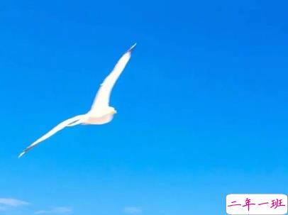 微信朋友圈经典说说带图片 吸引人点赞的经典短句7