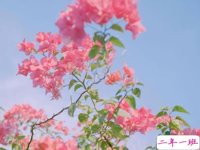 最新微信经典说说带图片 句句经典穿透人心8