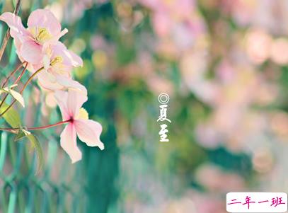 2019夏至说说短语带图片 夏至qq空间唯美说说大全9