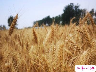 2019夏至说说短语带图片 夏至qq空间唯美说说大全11