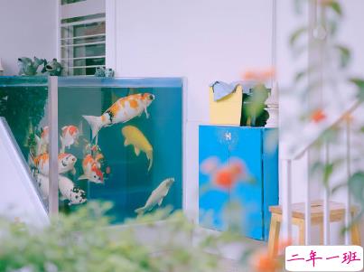 最新微信经典说说带图片 句句经典穿透人心12