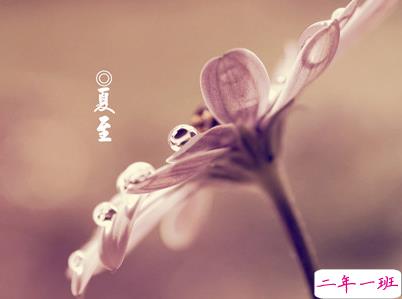 2019夏至说说短语带图片 夏至qq空间唯美说说大全13