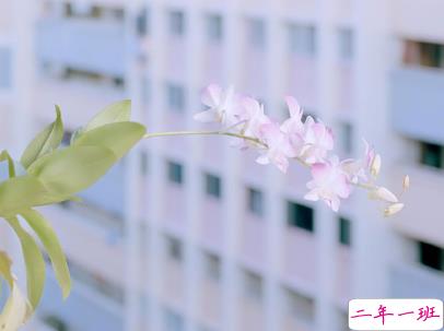 最新微信经典说说带图片 句句经典穿透人心14